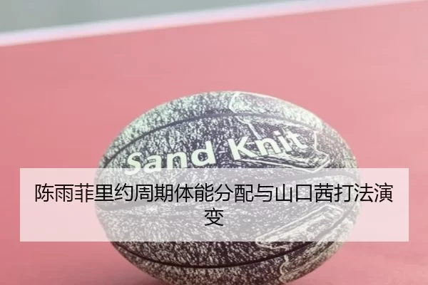 陈雨菲里约周期体能分配与山口茜打法演变