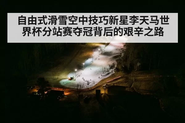 aerial skiing