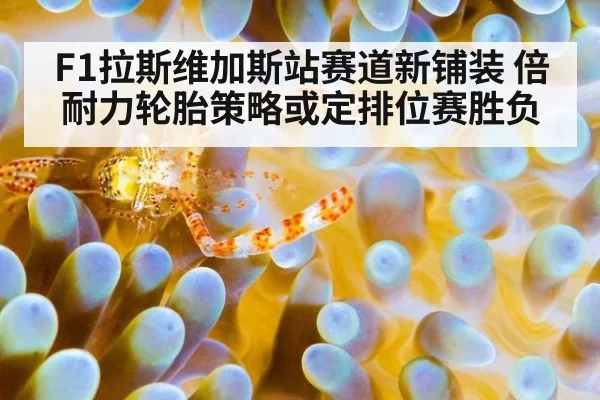F1拉斯维加斯站赛道新铺装 倍耐力轮胎策略或定排位赛胜负